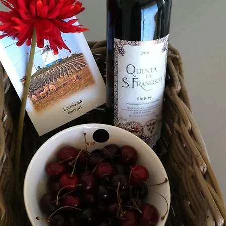 Willa In Portugal With Sea View & Pool